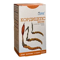 Cordyceps tinktura foto