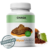 Chaga photo