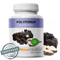 Polyporus foto