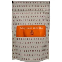 Maytenus ilicifolia foto