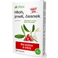 Hloh, jmelí, česnek foto