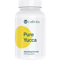 Yucca Pure foto
