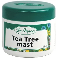 Tea Tree mast photo
