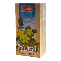 Kotvičník – čaj foto