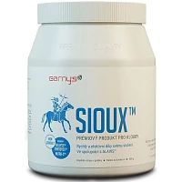 Sioux MSM foto