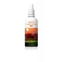 Organic Nigella Sativa foto