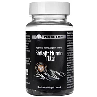 Shilajit Mumio Altai foto
