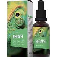 Regavet photo