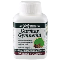 Gurmar Gymnema photo