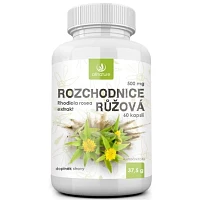 Rozchodnice růžová photo