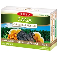 Čaga Reishi Rakytník foto