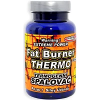 Spalovač tuku – THERMO Fat Burner foto