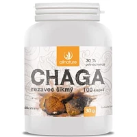 Chaga – Allnature photo