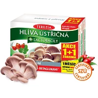 Hlíva ústřičná + lactobacily foto