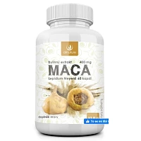 Maca bylinný extrakt photo