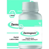 Dermogesin photo
