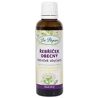 Řebříček obecný photo