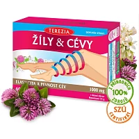Žíly & Cévy foto