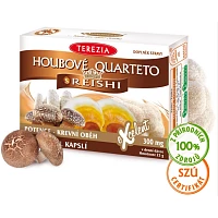 Houbové Quarteto s reishi foto