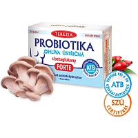 PROBIOTIKA + hlíva ústřičná s betaglukany FORTE photo