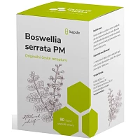 Boswellia serrata PM foto