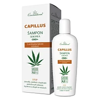 Cannaderm Capillus seborea šampon CBD+ photo