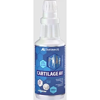 CARTILAGE STAR photo