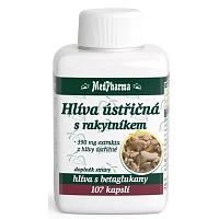 Hlíva ústřičná s rakytníkem foto
