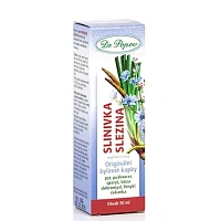 Slinivka – slezina foto