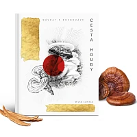 Cesta houby: Návrat k rovnováze foto