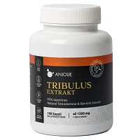 Tribulus extrakt foto
