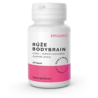 Růže BodyBrain Epigemic foto