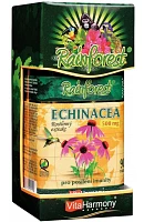 Echinacea 500 mg photo