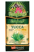 Rainforest YUCCA 500 mg photo