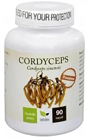 Cordyceps Premium photo