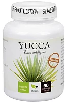 Yucca Premium photo