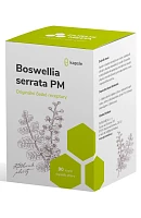 Boswellia serrata PM photo