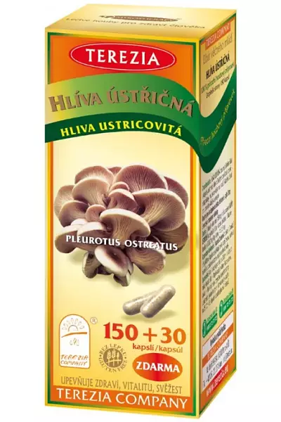 Hlíva ústřičná photo