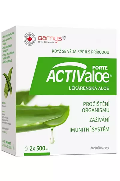 Aloe lékárenská photo