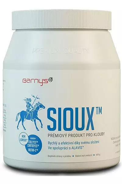 Sioux MSM photo