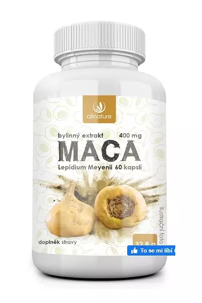 Maca bylinný extrakt photo