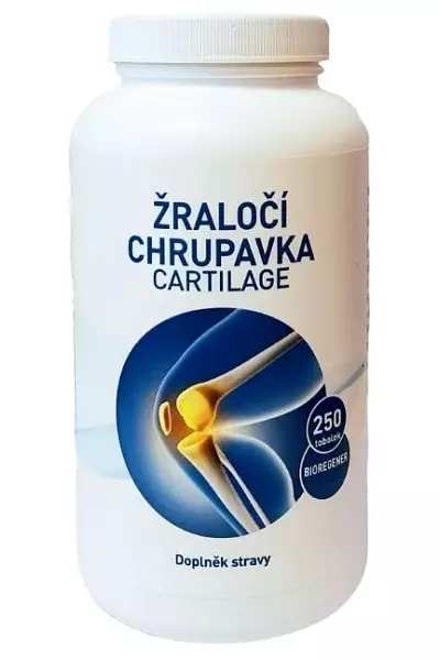 Žraločí chrupavka Cartilage photo