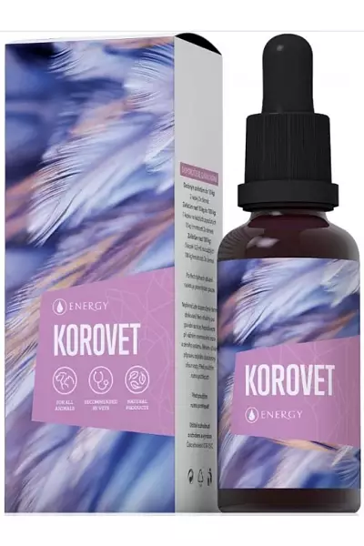 Korovet photo